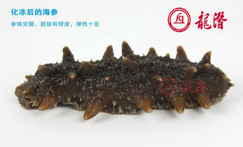 長島海參的適用人群