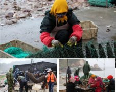 煙臺長島之大欽島